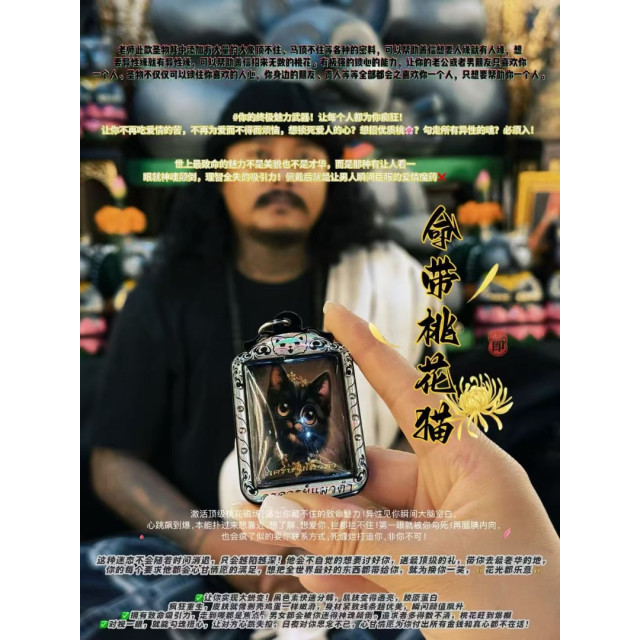 阿贊班迪———命帶桃花貓
