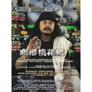 阿贊班迪———命帶桃花貓
