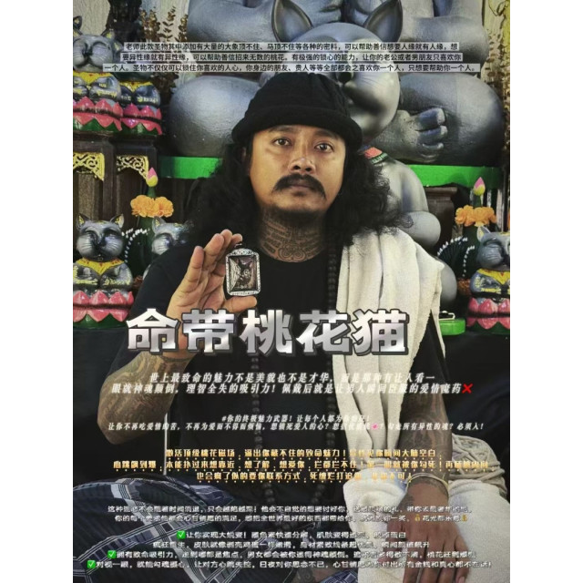阿贊班迪———命帶桃花貓