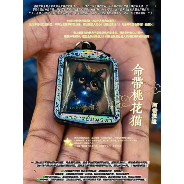 阿贊班迪———命帶桃花貓